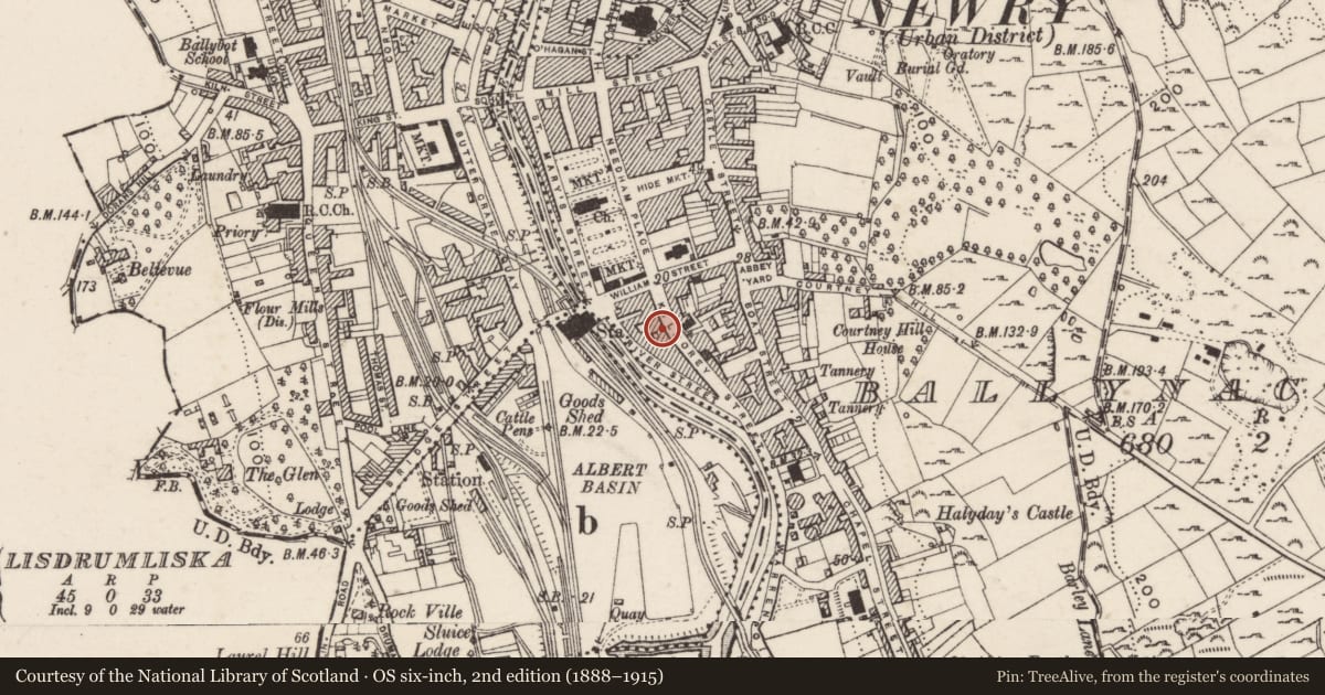 Ordnance Survey six-inch map, 2nd edition (1888–1915) covering the location of 17 Kilmorey Street, Ballynacraig, Newry, Mourne and Down, with a pin at the register's coordinates