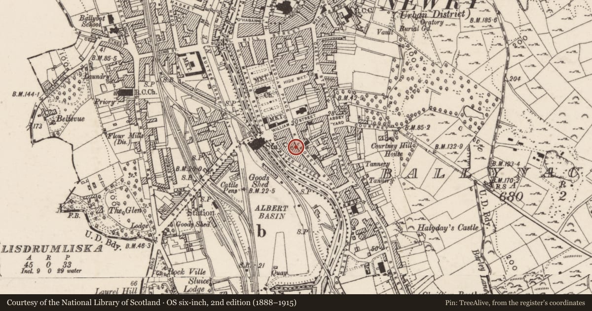 Ordnance Survey six-inch map, 2nd edition (1888–1915) covering the location of 19 Kilmorey Street, Ballynacraig, Newry, Mourne and Down, with a pin at the register's coordinates