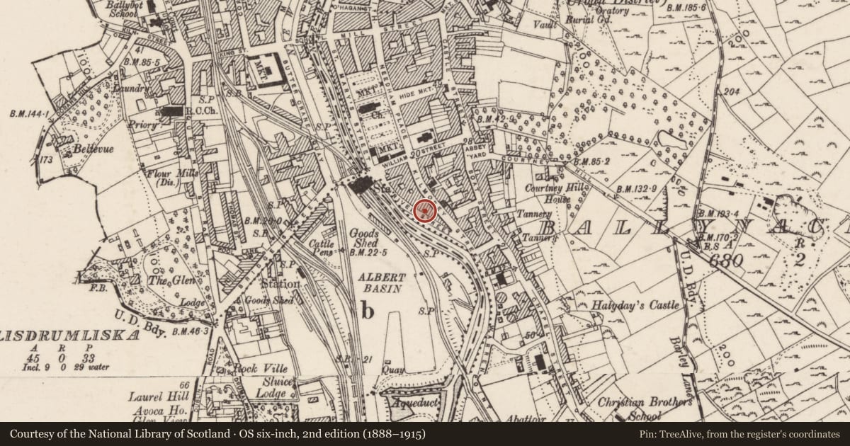 Ordnance Survey six-inch map, 2nd edition (1888–1915) covering the location of 11-18 River Street, Ballynacraig, Newry, Mourne and Down, with a pin at the register's coordinates