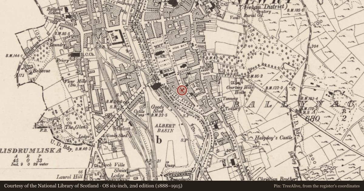 Ordnance Survey six-inch map, 2nd edition (1888–1915) covering the location of 25 - 26 - 27 Kilmorey Street, Ballynacraig, Newry, Mourne and Down, with a pin at the register's coordinates