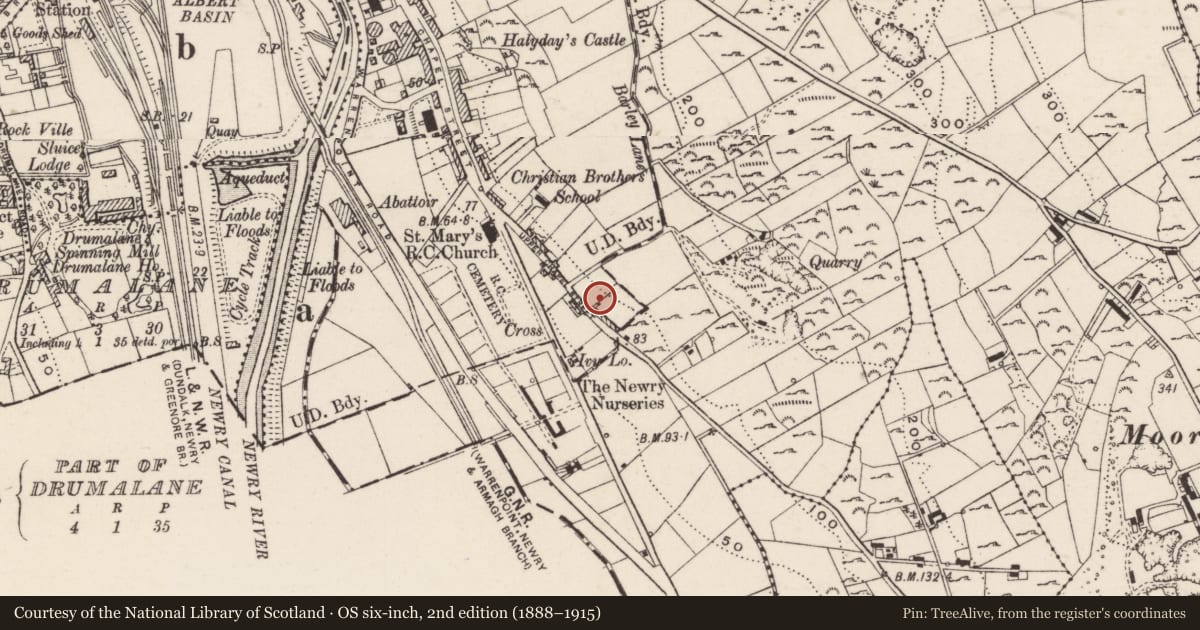 Ordnance Survey six-inch map, 2nd edition (1888–1915) covering the location of St. Mary’s High School, Ballynacraig, Newry, Mourne and Down, with a pin at the register's coordinates