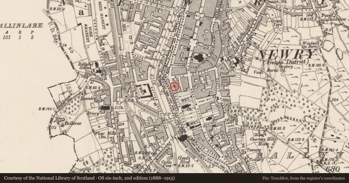 Ordnance Survey six-inch map, 2nd edition (1888–1915) covering the location of 11 St Mary’s Street, Ballynacraig, Newry, Mourne and Down, with a pin at the register's coordinates