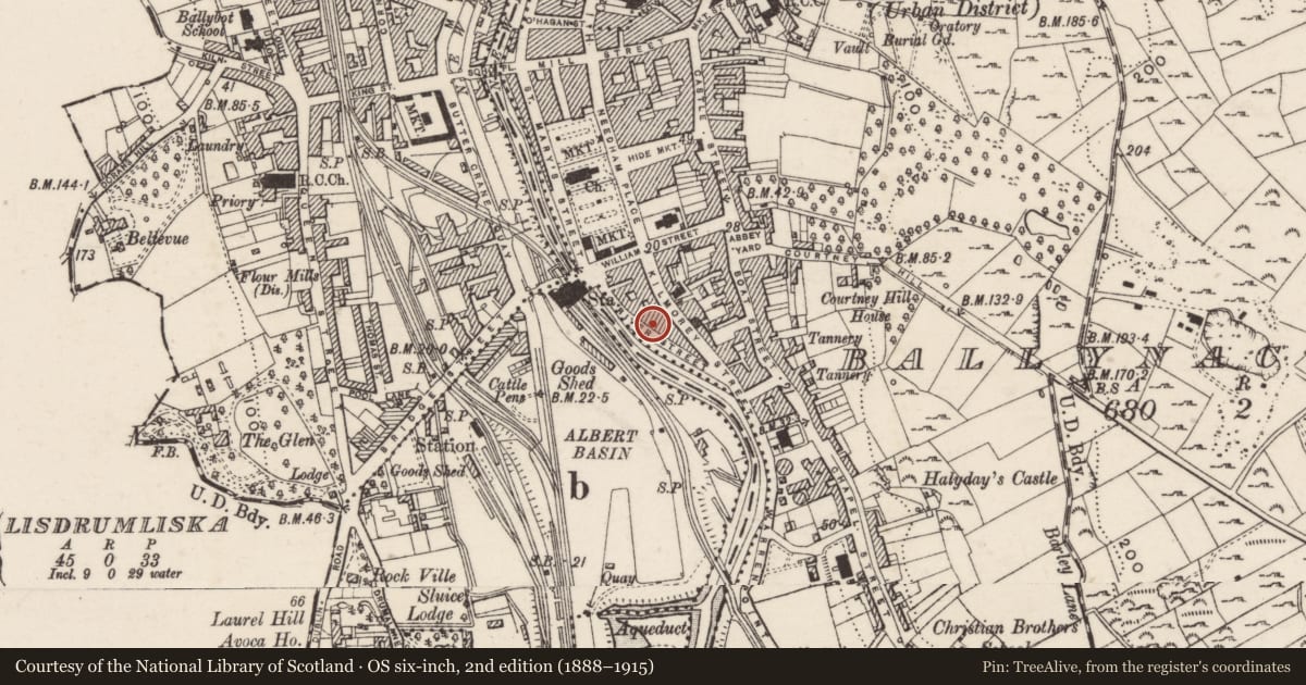 Ordnance Survey six-inch map, 2nd edition (1888–1915) covering the location of 10 River Street, Ballynacraig, Newry, Mourne and Down, with a pin at the register's coordinates