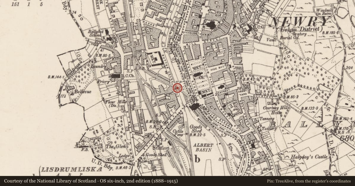 Ordnance Survey six-inch map, 2nd edition (1888–1915) covering the location of Remains of Bridge, Ballynacraig, Newry, Mourne and Down, with a pin at the register's coordinates