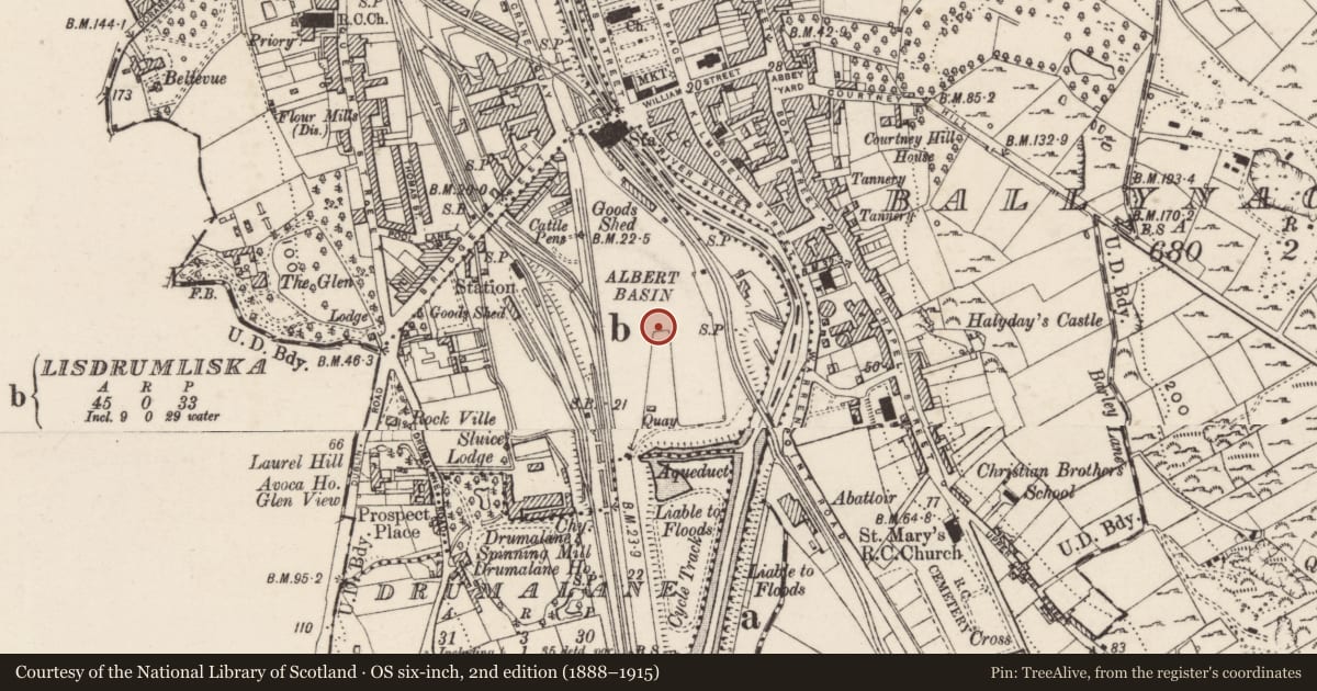 Ordnance Survey six-inch map, 2nd edition (1888–1915) covering the location of Albert Basin, Lisdrumliska, Newry, Mourne and Down, with a pin at the register's coordinates