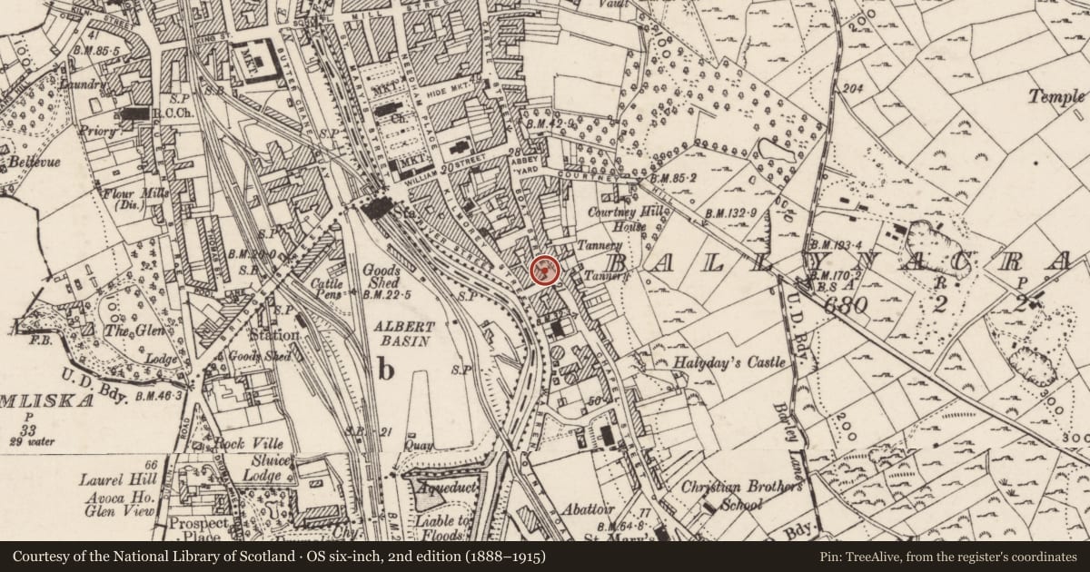 Ordnance Survey six-inch map, 2nd edition (1888–1915) covering the location of 75 & 77 Boat Street, Ballynacraig, Newry, Mourne and Down, with a pin at the register's coordinates