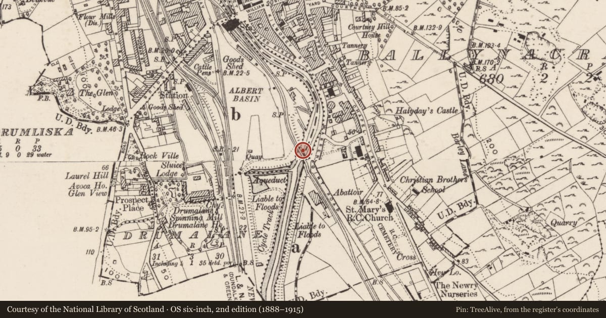 Ordnance Survey six-inch map, 2nd edition (1888–1915) covering the location of Remains of Railway Bridge, Ballynacraig, Newry, Mourne and Down, with a pin at the register's coordinates