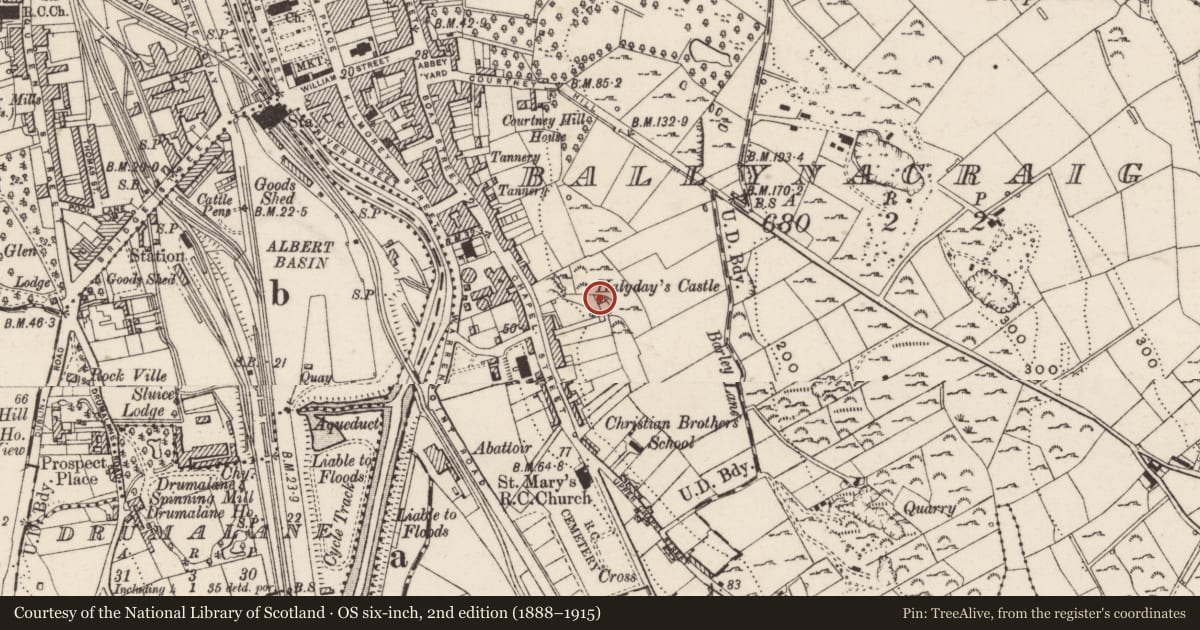 Ordnance Survey six-inch map, 2nd edition (1888–1915) covering the location of Halyday’s Castle, Ballynacraig, Newry, Mourne and Down, with a pin at the register's coordinates