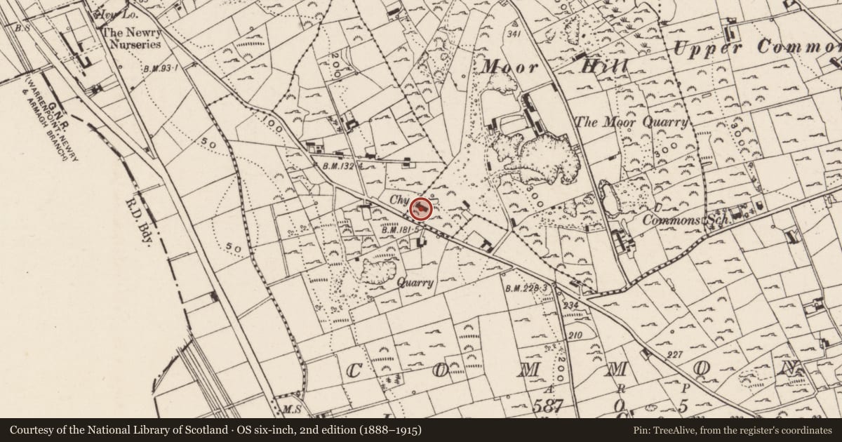 Ordnance Survey six-inch map, 2nd edition (1888–1915) covering the location of Chimney at Amenity site, Ballynacraig, Newry, Mourne and Down, with a pin at the register's coordinates