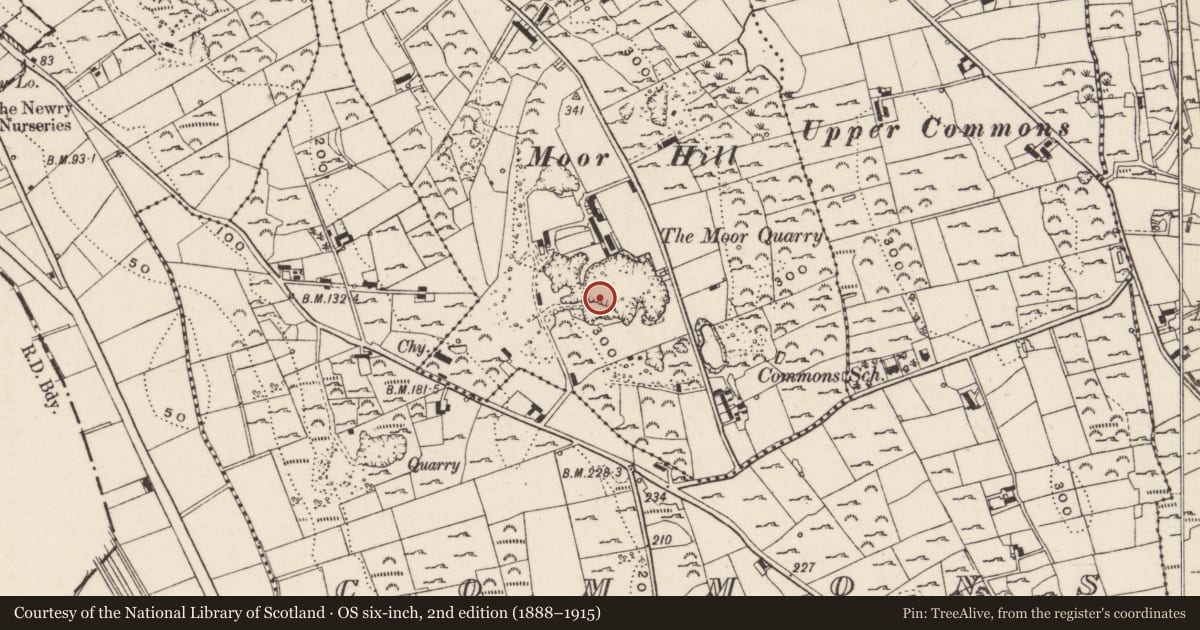 Ordnance Survey six-inch map, 2nd edition (1888–1915) covering the location of Moor Quarry, Ballynacraig, Newry, Mourne and Down, with a pin at the register's coordinates