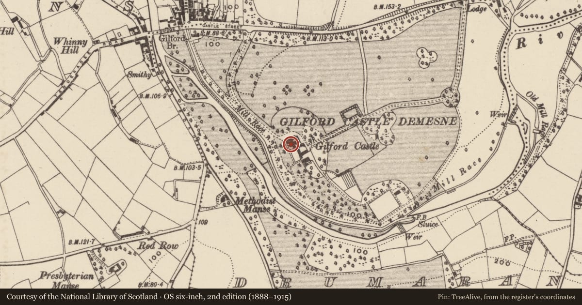 Ordnance Survey six-inch map, 2nd edition (1888–1915) covering the location of Gilford Castle, Drumaran, Armagh City, Banbridge and Craigavon, with a pin at the register's coordinates