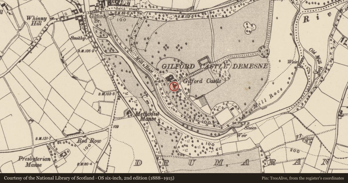 Ordnance Survey six-inch map, 2nd edition (1888–1915) covering the location of Gilford Castle Stableyard, Drumaran, Armagh City, Banbridge and Craigavon, with a pin at the register's coordinates