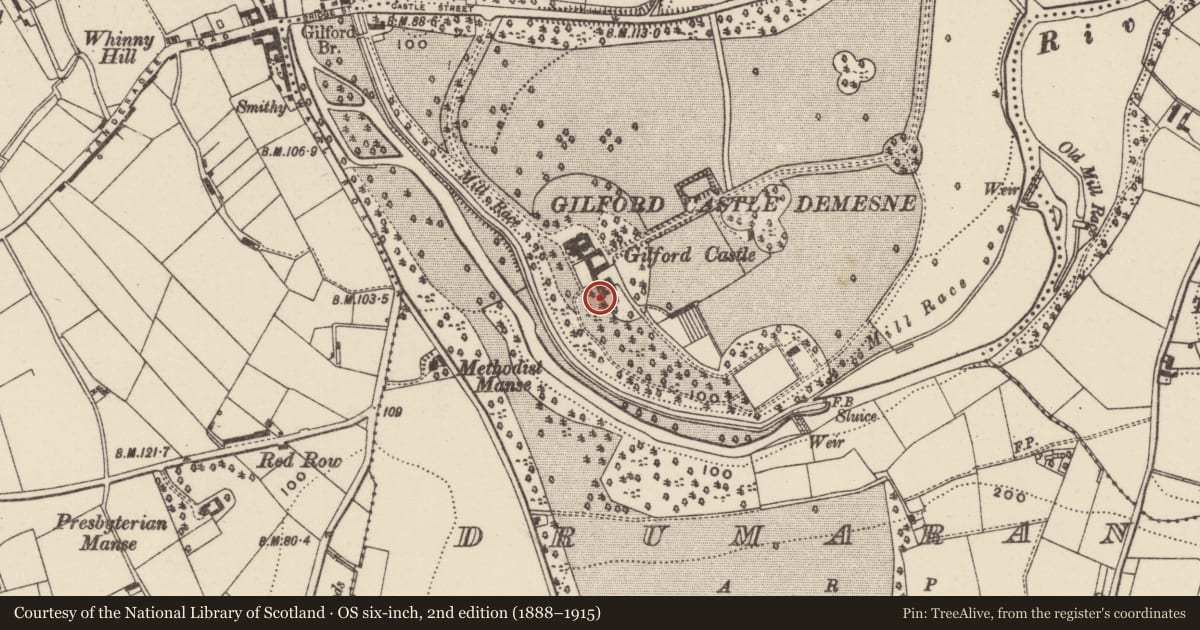 Ordnance Survey six-inch map, 2nd edition (1888–1915) covering the location of Belfast Roof Truss Shed, Drumaran, Armagh City, Banbridge and Craigavon, with a pin at the register's coordinates