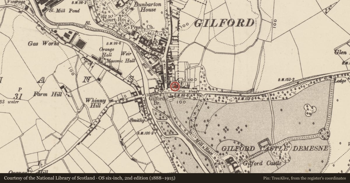 Ordnance Survey six-inch map, 2nd edition (1888–1915) covering the location of Castle Street, Armagh City, Banbridge and Craigavon, with a pin at the register's coordinates