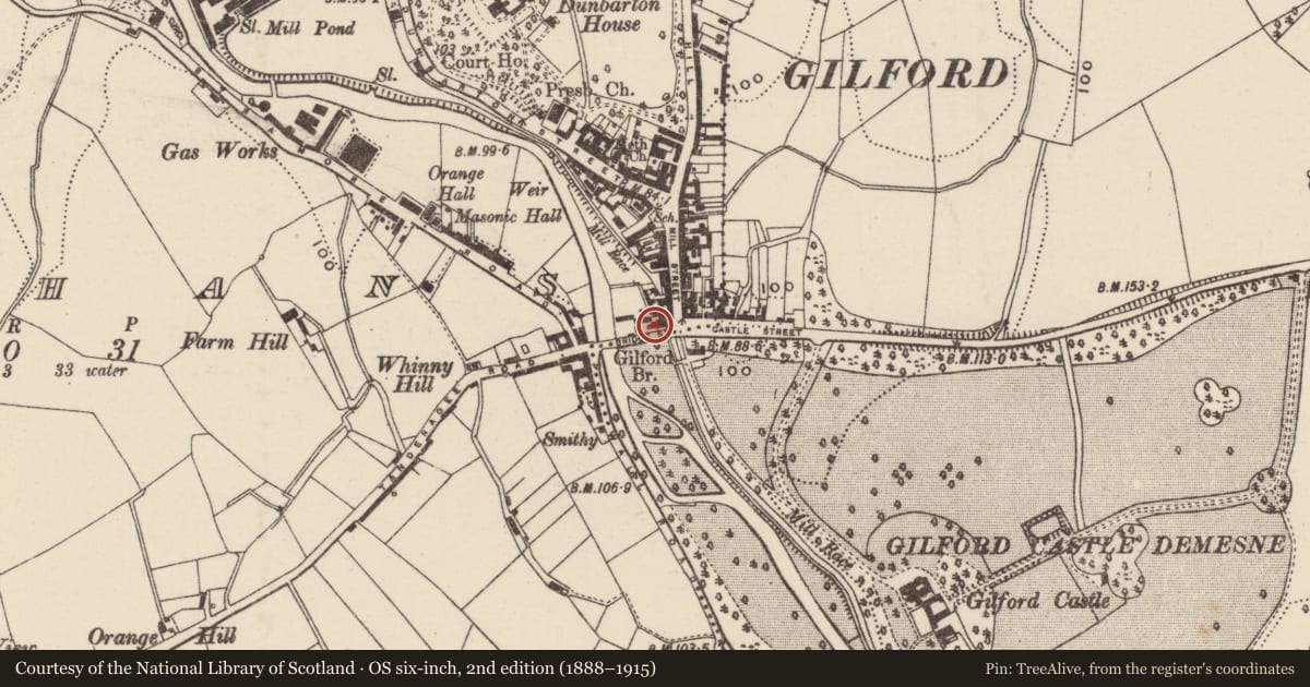 Ordnance Survey six-inch map, 2nd edition (1888–1915) covering the location of Bridge Street, Armagh City, Banbridge and Craigavon, with a pin at the register's coordinates