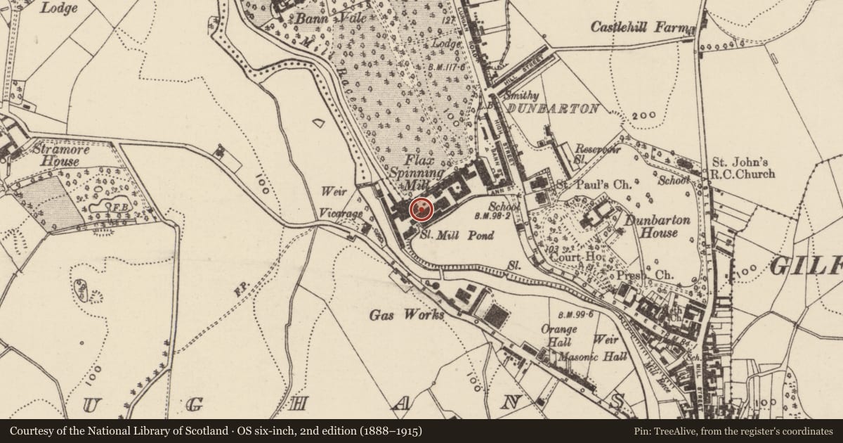 Ordnance Survey six-inch map, 2nd edition (1888–1915) covering the location of Chimney, Armagh City, Banbridge and Craigavon, with a pin at the register's coordinates