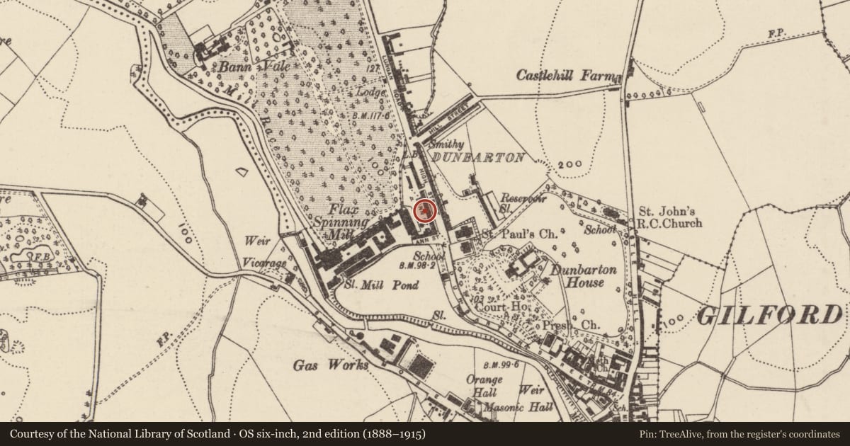 Ordnance Survey six-inch map, 2nd edition (1888–1915) covering the location of 19 Ann Street, Loughans, Armagh City, Banbridge and Craigavon, with a pin at the register's coordinates