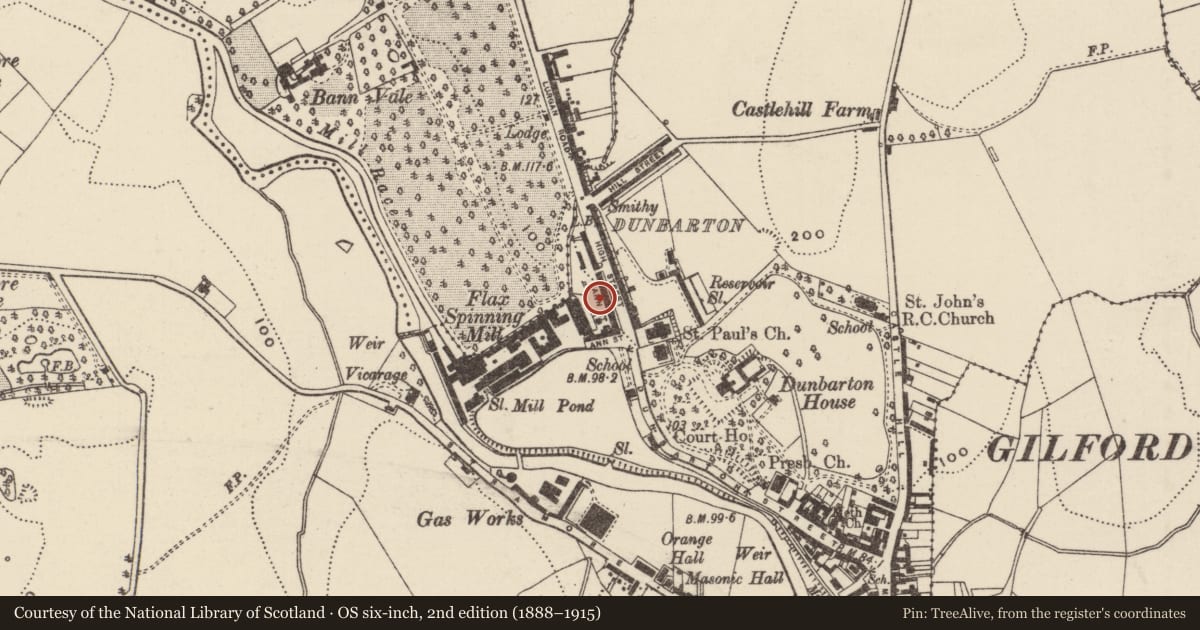 Ordnance Survey six-inch map, 2nd edition (1888–1915) covering the location of 20 Ann Street, Loughans, Armagh City, Banbridge and Craigavon, with a pin at the register's coordinates