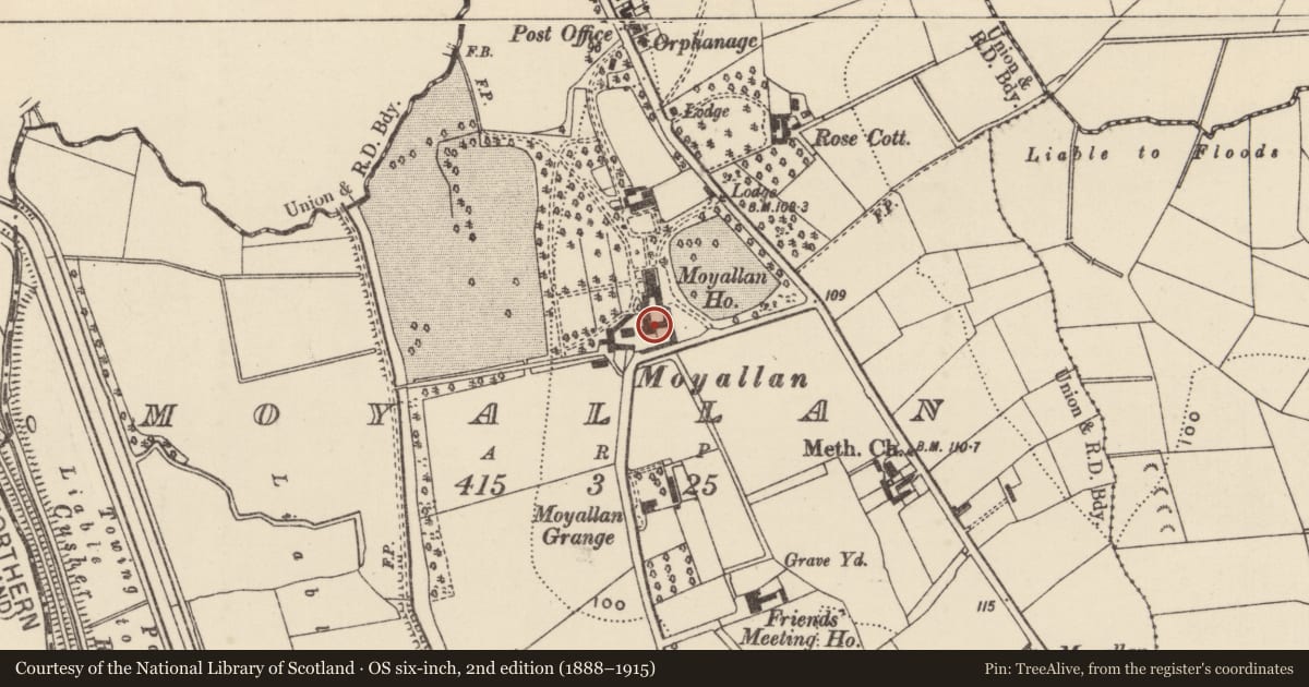 Ordnance Survey six-inch map, 2nd edition (1888–1915) covering the location of Outbuildings, Moyallan, Armagh City, Banbridge and Craigavon, with a pin at the register's coordinates