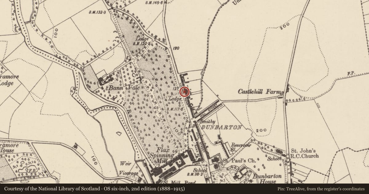 Ordnance Survey six-inch map, 2nd edition (1888–1915) covering the location of 4 Bannview Terrace, Loughans, Armagh City, Banbridge and Craigavon, with a pin at the register's coordinates