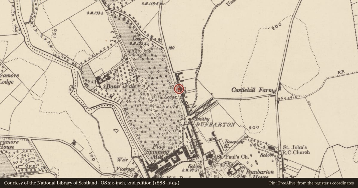 Ordnance Survey six-inch map, 2nd edition (1888–1915) covering the location of 5 Bannview Terrace, Loughans, Armagh City, Banbridge and Craigavon, with a pin at the register's coordinates