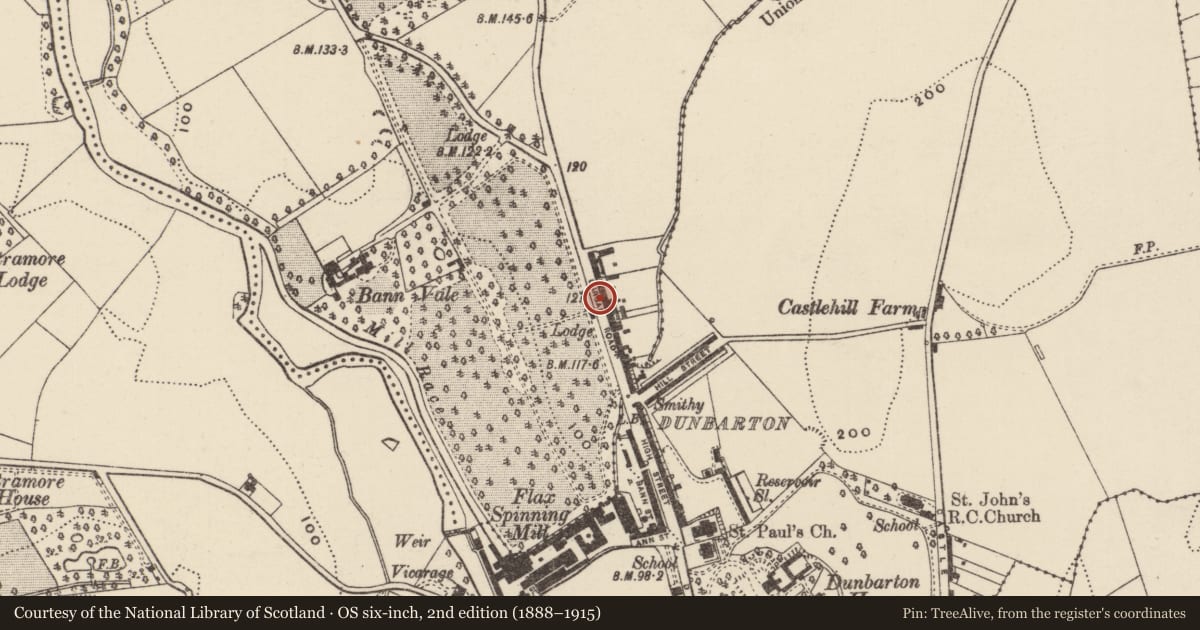 Ordnance Survey six-inch map, 2nd edition (1888–1915) covering the location of 6 Bannview Terrace, Loughans, Armagh City, Banbridge and Craigavon, with a pin at the register's coordinates