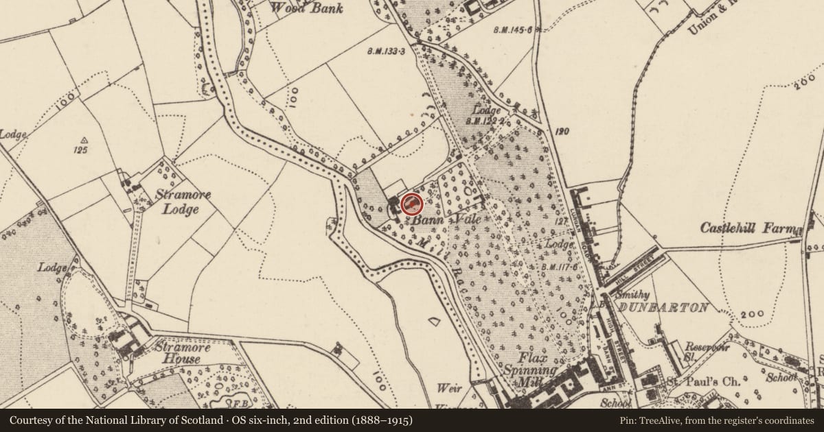 Ordnance Survey six-inch map, 2nd edition (1888–1915) covering the location of Bannvale House, Ballymacanallen, Armagh City, Banbridge and Craigavon, with a pin at the register's coordinates