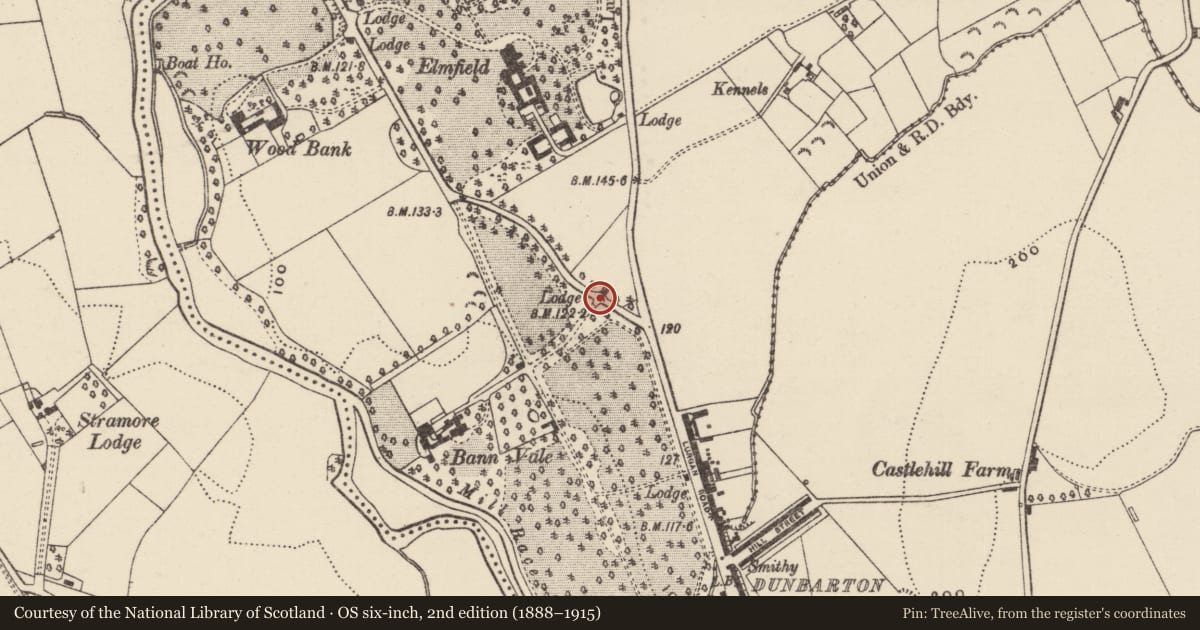 Ordnance Survey six-inch map, 2nd edition (1888–1915) covering the location of Lodge, Ballymacanallen, Armagh City, Banbridge and Craigavon, with a pin at the register's coordinates