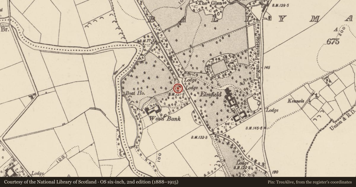 Ordnance Survey six-inch map, 2nd edition (1888–1915) covering the location of Lodge, Woodbank, 18 Moyallan Road, Portadown, Co Down, BT63 5JX, Armagh City, Banbridge and Craigavon, with a pin at the register's coordinates