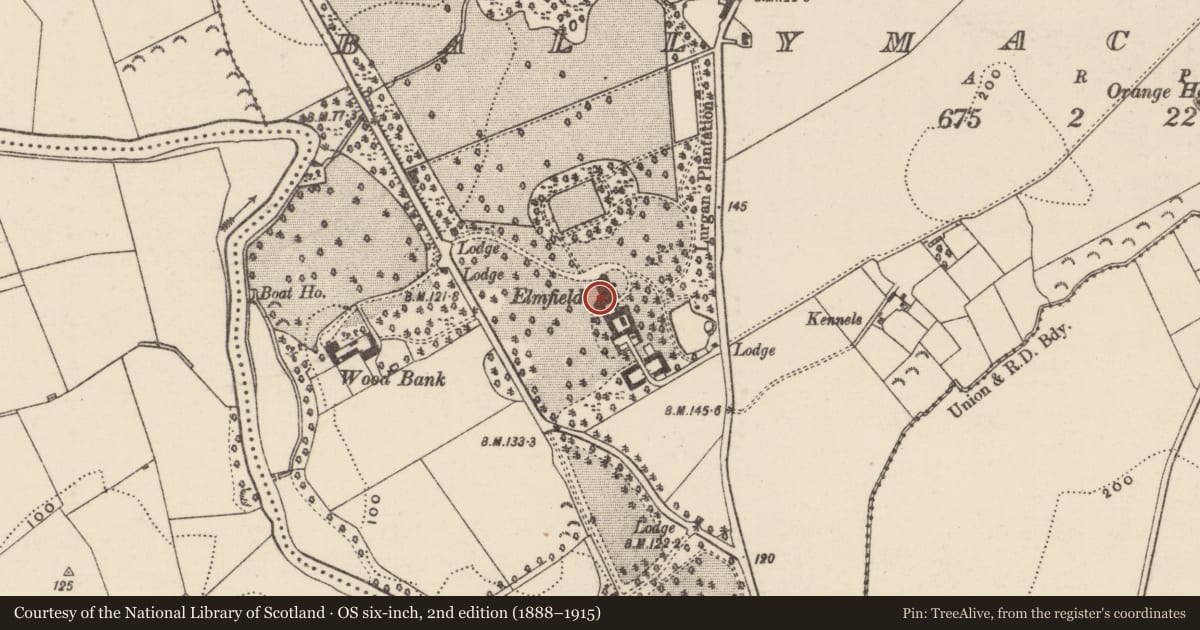 Ordnance Survey six-inch map, 2nd edition (1888–1915) covering the location of Elmfield, Ballymacanallen, Armagh City, Banbridge and Craigavon, with a pin at the register's coordinates