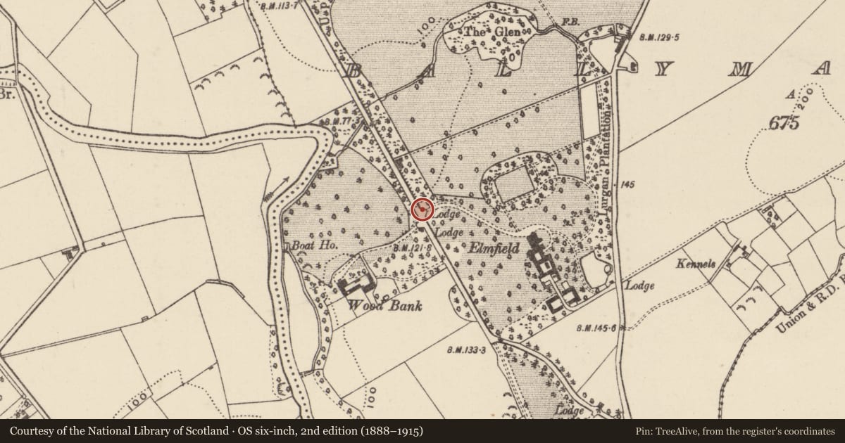 Ordnance Survey six-inch map, 2nd edition (1888–1915) covering the location of Lodge, Ballymacanallen, Armagh City, Banbridge and Craigavon, with a pin at the register's coordinates