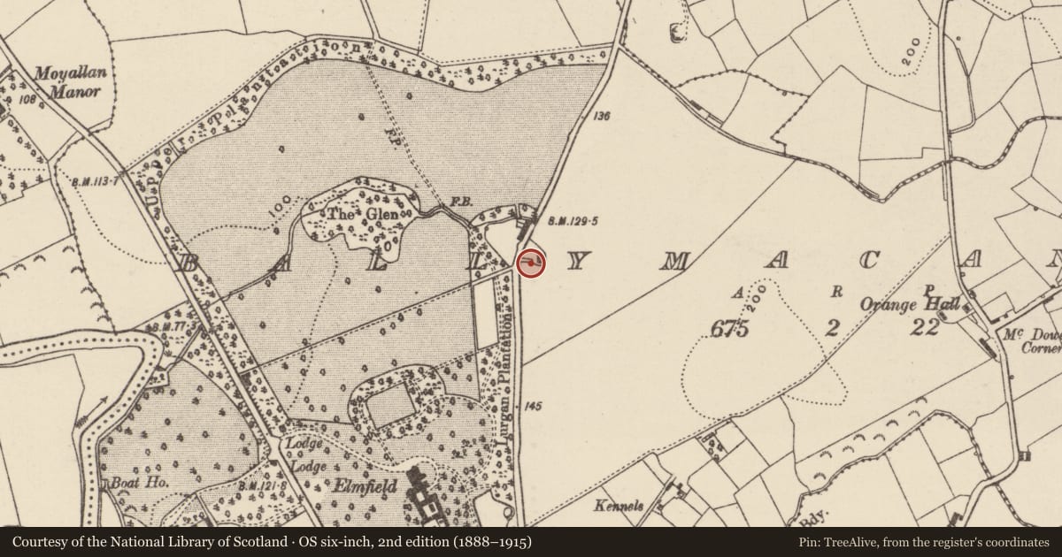 Ordnance Survey six-inch map, 2nd edition (1888–1915) covering the location of 31 Plantation Road, Armagh City, Banbridge and Craigavon, with a pin at the register's coordinates