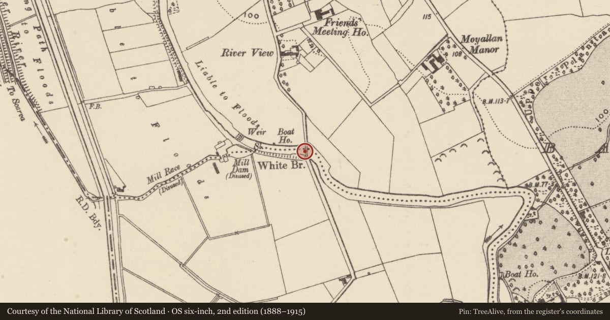 Ordnance Survey six-inch map, 2nd edition (1888–1915) covering the location of White Bridge, Loughans/Moyallan, Armagh City, Banbridge and Craigavon, with a pin at the register's coordinates