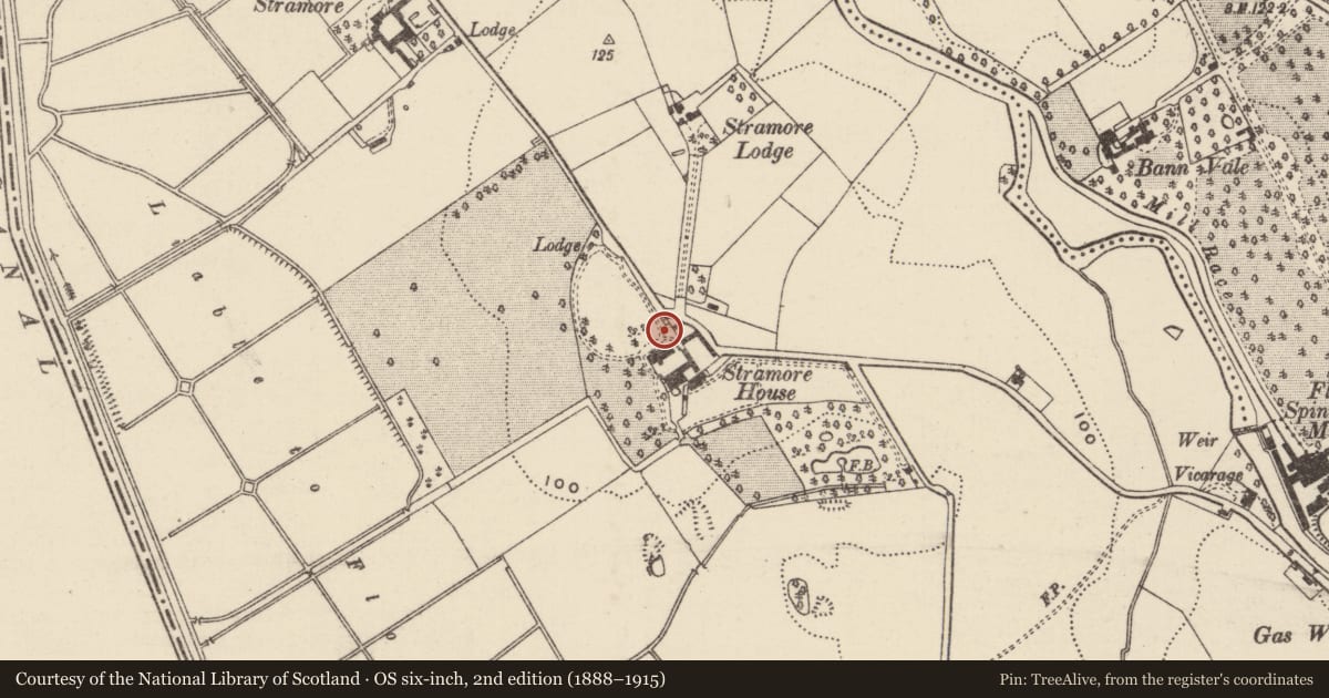 Ordnance Survey six-inch map, 2nd edition (1888–1915) covering the location of Tower, Loughans, Armagh City, Banbridge and Craigavon, with a pin at the register's coordinates