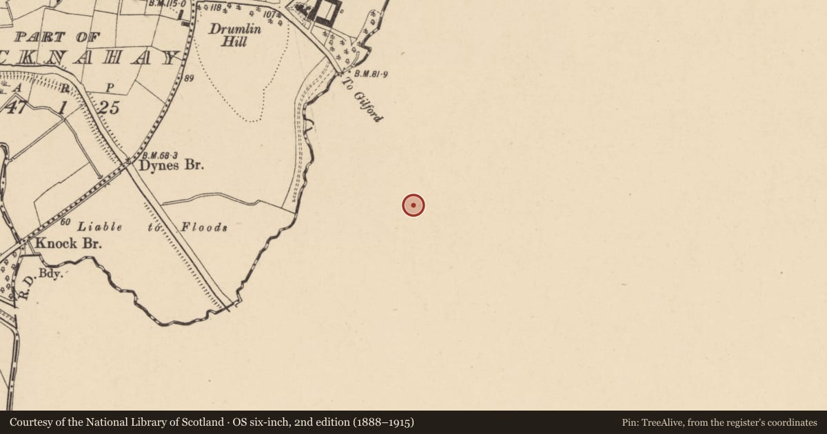 Ordnance Survey six-inch map, 2nd edition (1888–1915) covering the location of The Laurels, Moyallan, Armagh City, Banbridge and Craigavon, with a pin at the register's coordinates
