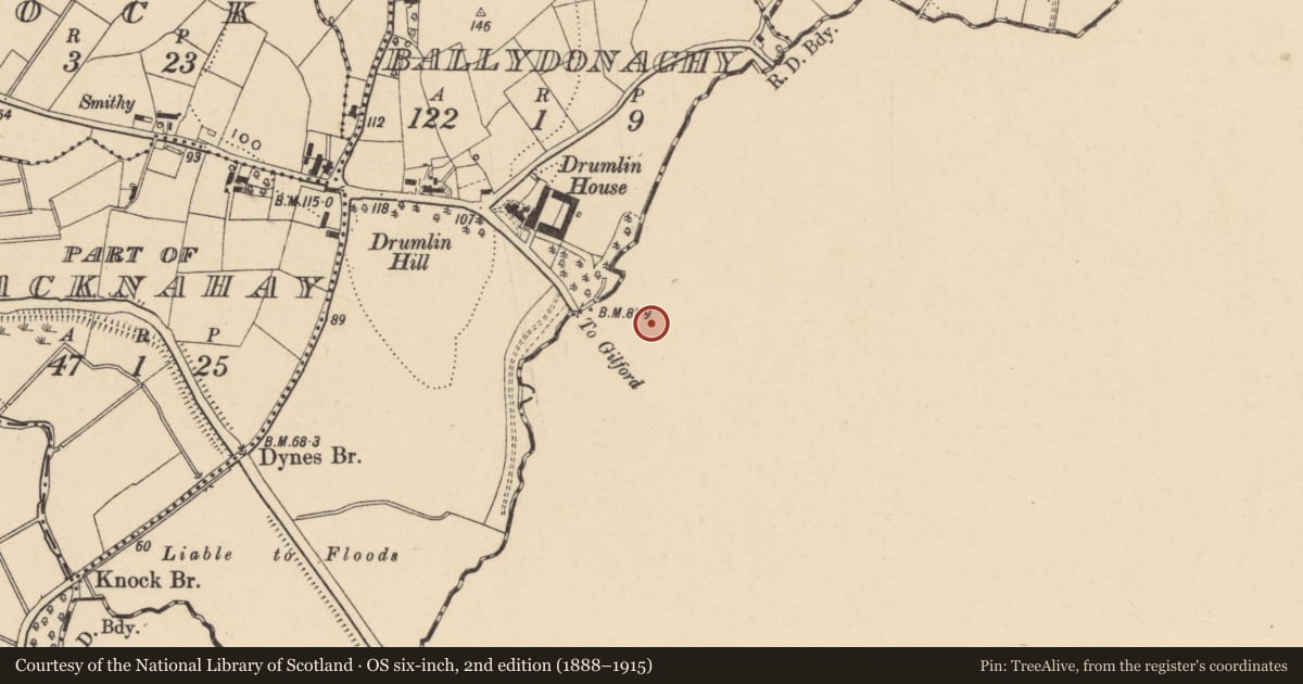 Ordnance Survey six-inch map, 2nd edition (1888–1915) covering the location of Moyallon Primary School, Armagh City, Banbridge and Craigavon, with a pin at the register's coordinates