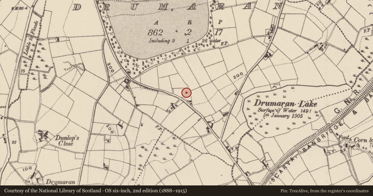 Ordnance Survey six-inch map, 2nd edition (1888–1915) covering the location of 16 Loughbrickland Road, Armagh City, Banbridge and Craigavon, with a pin at the register's coordinates