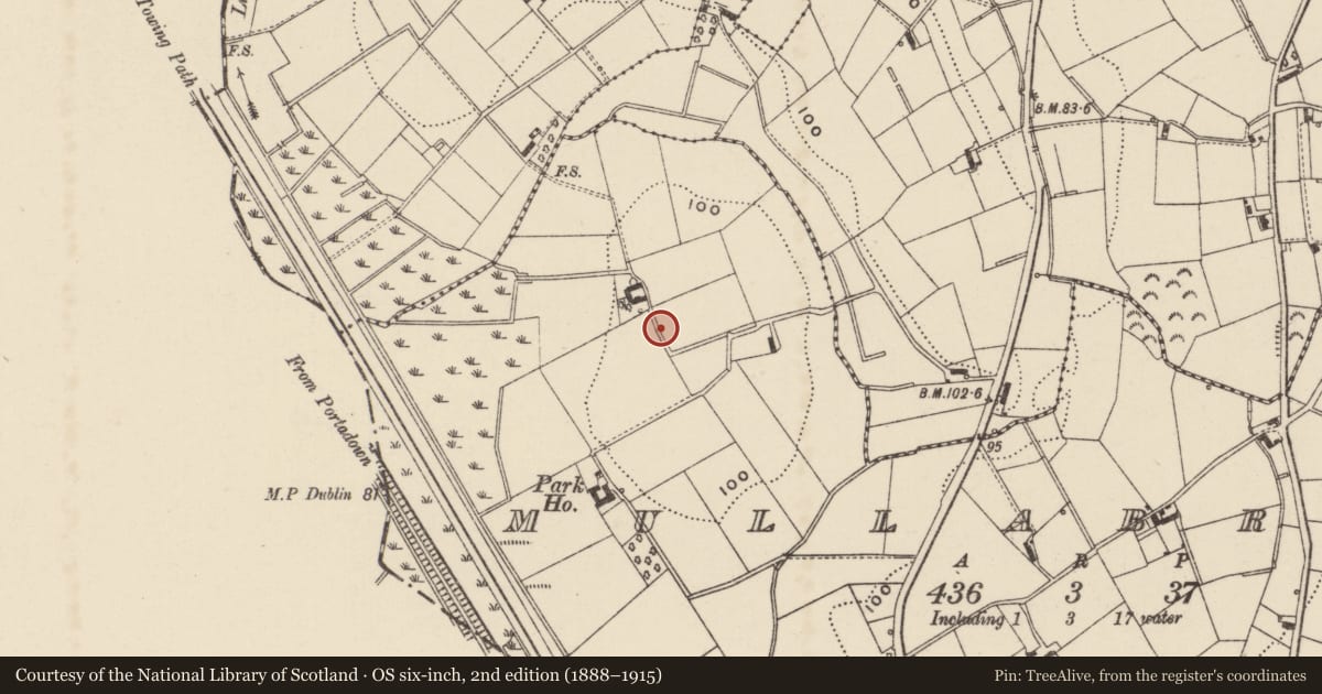 Ordnance Survey six-inch map, 2nd edition (1888–1915) covering the location of Pump, Mullabrack, Armagh City, Banbridge and Craigavon, with a pin at the register's coordinates