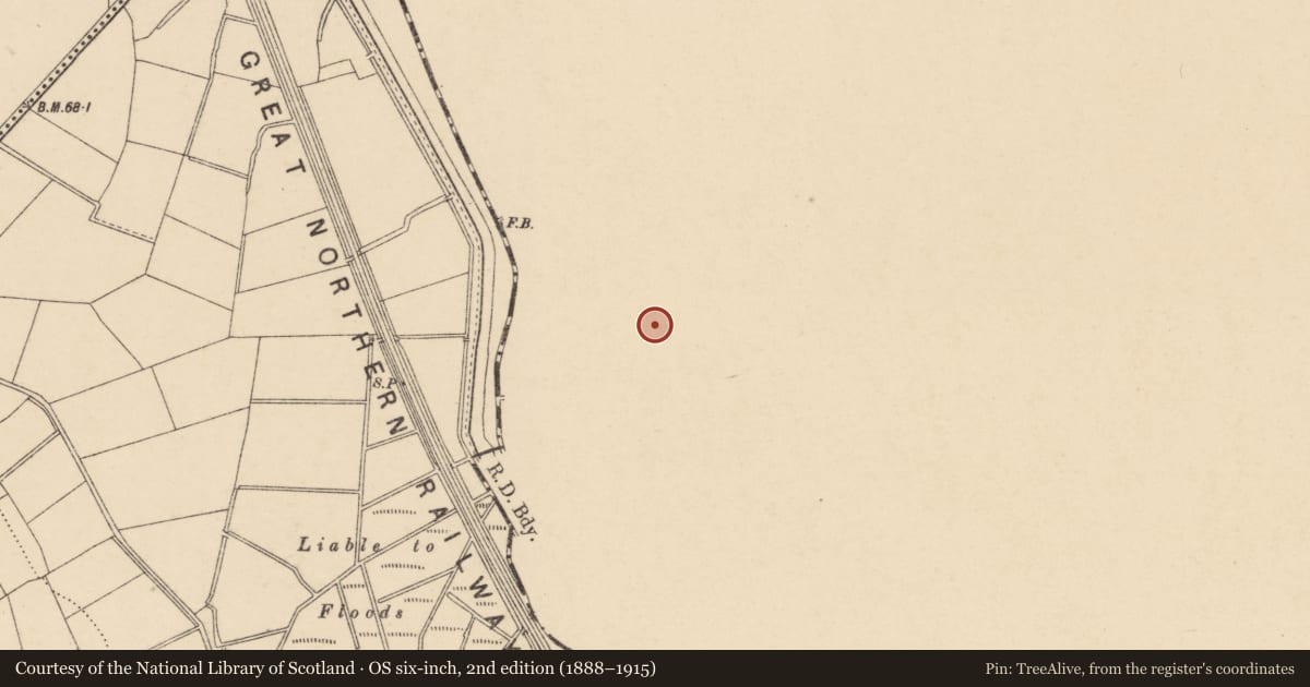 Ordnance Survey six-inch map, 2nd edition (1888–1915) covering the location of Pump opposite 25b Park Lane, Loughans, Armagh City, Banbridge and Craigavon, with a pin at the register's coordinates