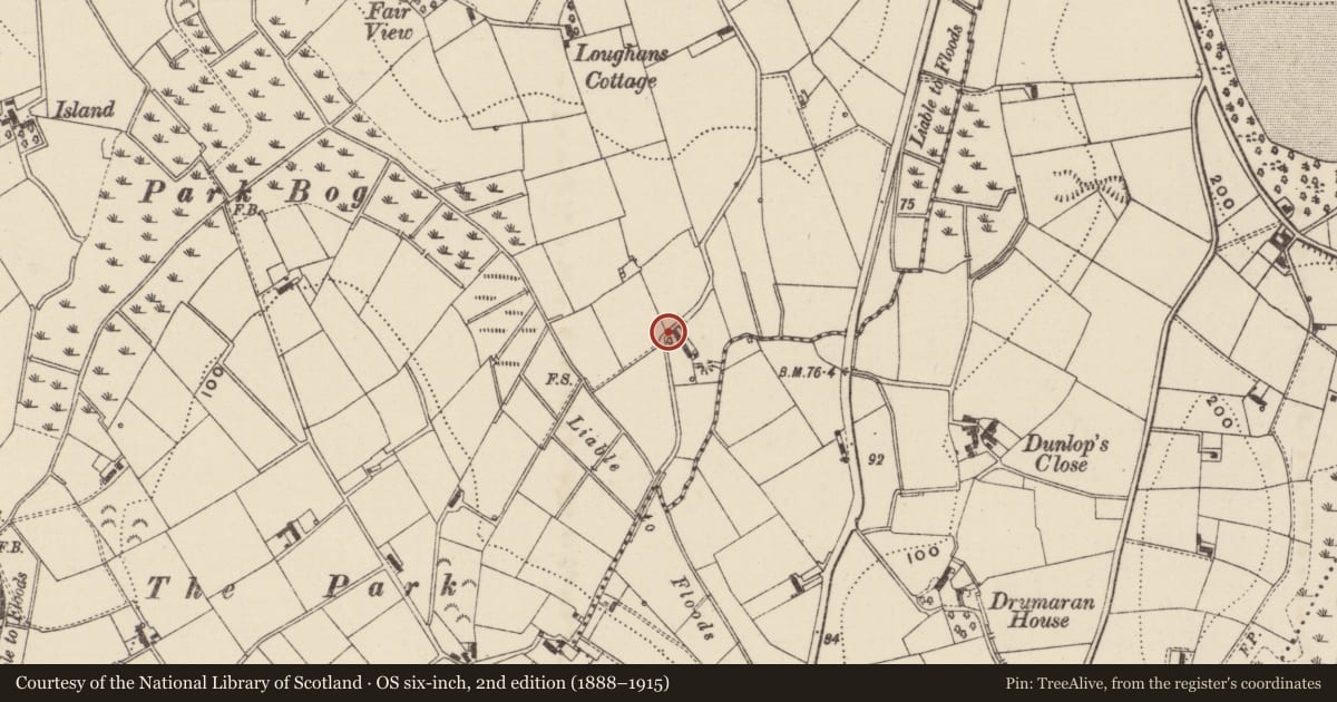 Ordnance Survey six-inch map, 2nd edition (1888–1915) covering the location of Pump, Loughans, Armagh City, Banbridge and Craigavon, with a pin at the register's coordinates