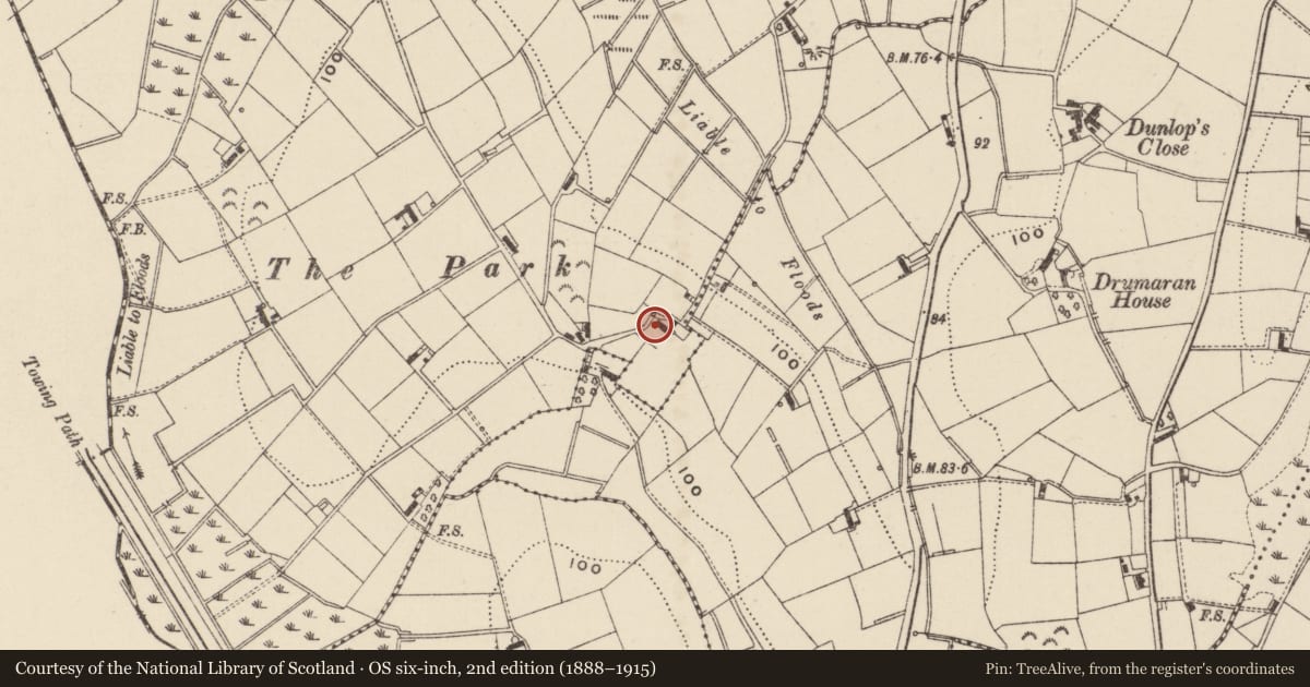 Ordnance Survey six-inch map, 2nd edition (1888–1915) covering the location of Pump opposite 20 Park Lane, Loughans, Armagh City, Banbridge and Craigavon, with a pin at the register's coordinates