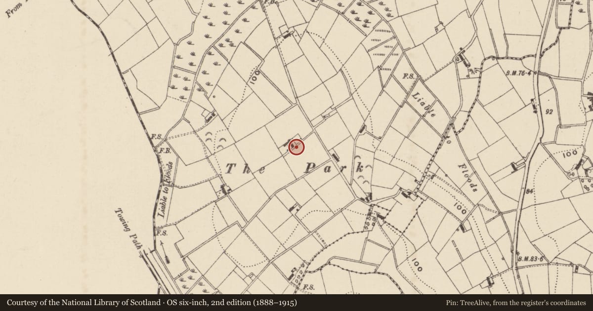 Ordnance Survey six-inch map, 2nd edition (1888–1915) covering the location of Pump No. 1, Loughans, Armagh City, Banbridge and Craigavon, with a pin at the register's coordinates