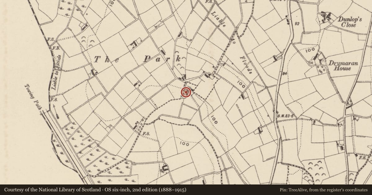 Ordnance Survey six-inch map, 2nd edition (1888–1915) covering the location of Pump No. 2, Loughans, Armagh City, Banbridge and Craigavon, with a pin at the register's coordinates