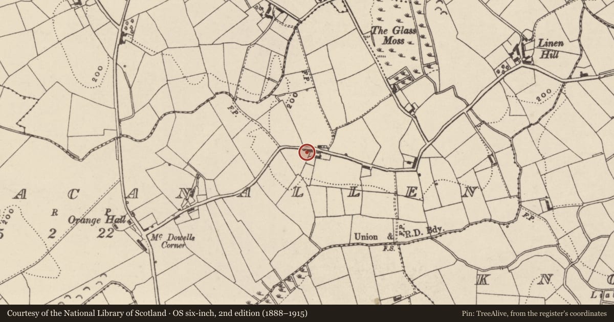 Ordnance Survey six-inch map, 2nd edition (1888–1915) covering the location of 15 Ballymacanallen Road, Armagh City, Banbridge and Craigavon, with a pin at the register's coordinates