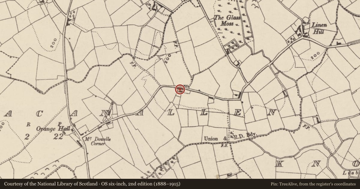 Ordnance Survey six-inch map, 2nd edition (1888–1915) covering the location of 17 Ballymacanallen Road, Armagh City, Banbridge and Craigavon, with a pin at the register's coordinates