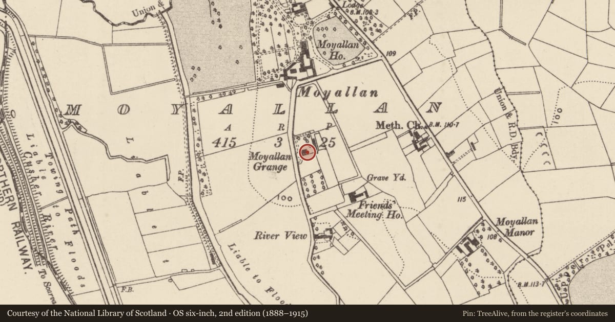 Ordnance Survey six-inch map, 2nd edition (1888–1915) covering the location of The Grange, Moyallen, Armagh City, Banbridge and Craigavon, with a pin at the register's coordinates