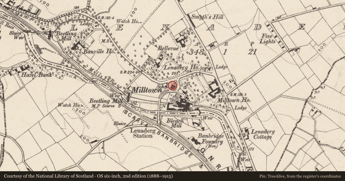 Ordnance Survey six-inch map, 2nd edition (1888–1915) covering the location of 3 Dandy Row, Lenaderg, Armagh City, Banbridge and Craigavon, with a pin at the register's coordinates
