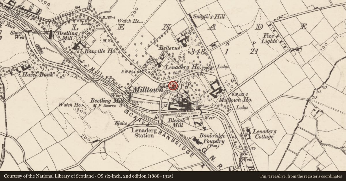 Ordnance Survey six-inch map, 2nd edition (1888–1915) covering the location of 4 Dandy Row, Lenaderg, Armagh City, Banbridge and Craigavon, with a pin at the register's coordinates