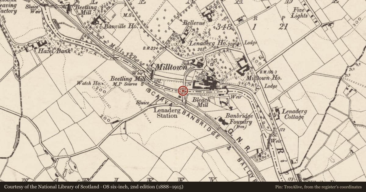 Ordnance Survey six-inch map, 2nd edition (1888–1915) covering the location of Huntly Bridge, Lenaderg Lisnafiffy, Armagh City, Banbridge and Craigavon, with a pin at the register's coordinates