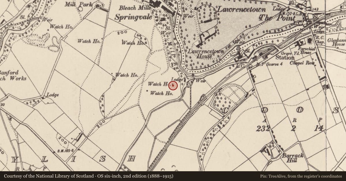Ordnance Survey six-inch map, 2nd edition (1888–1915) covering the location of Watch Tower, Armagh City, Banbridge and Craigavon, with a pin at the register's coordinates